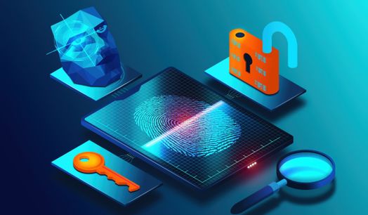 ciber seguridad